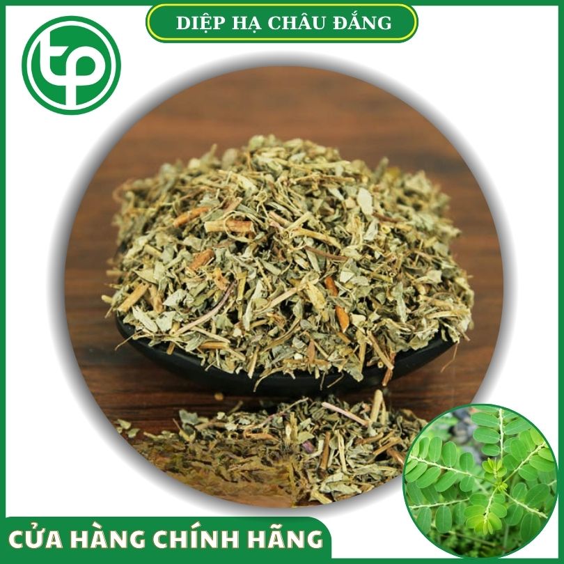 Diệp hạ châu đắng khô tại Tấn Phát