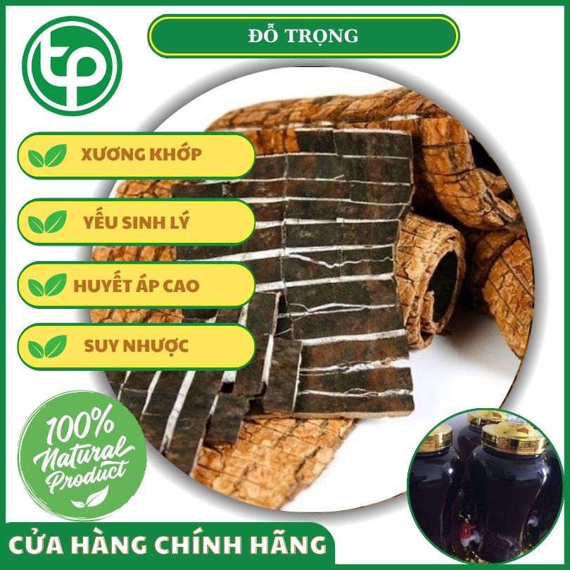 Đỗ trọng đối với sức khỏe