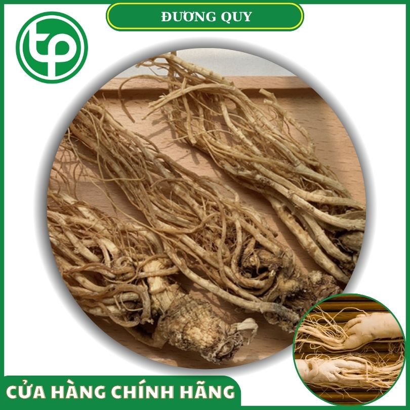 Đương quy khô tại Tấn Phát