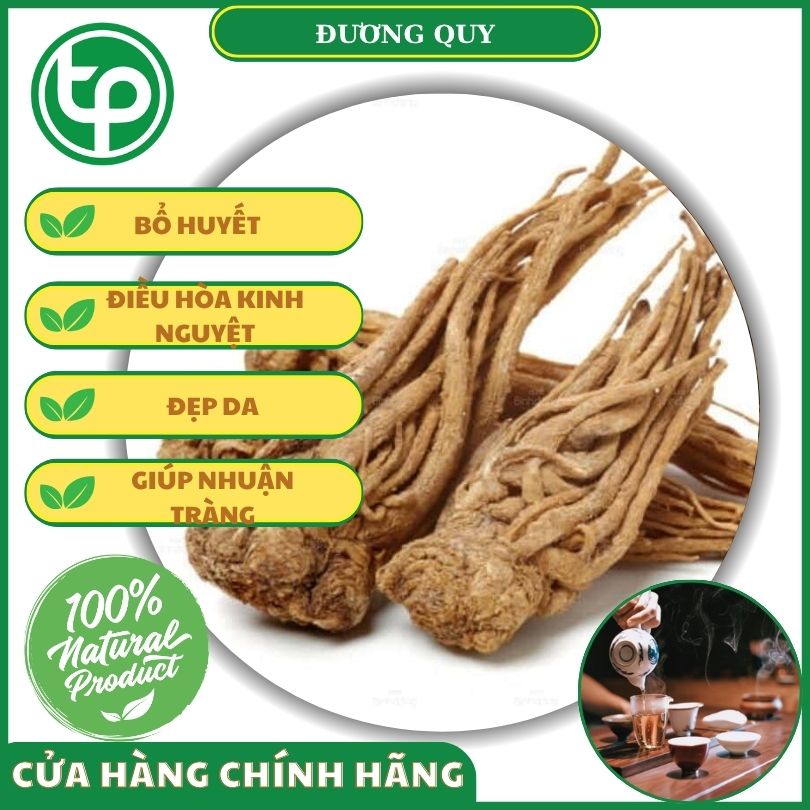 Công dụng của đương quy đối với sức khỏe