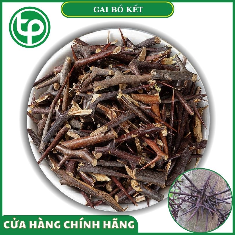 Gai bồ kết khô tại Tấn Phát