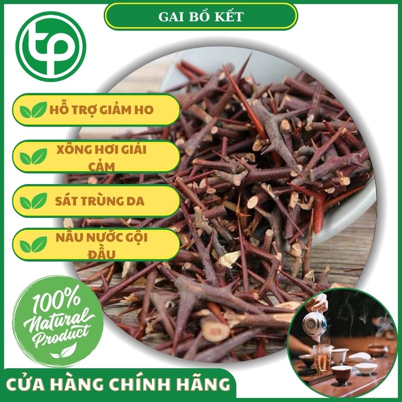 Cồng dụng của gai bồ kết đối với sức khỏe