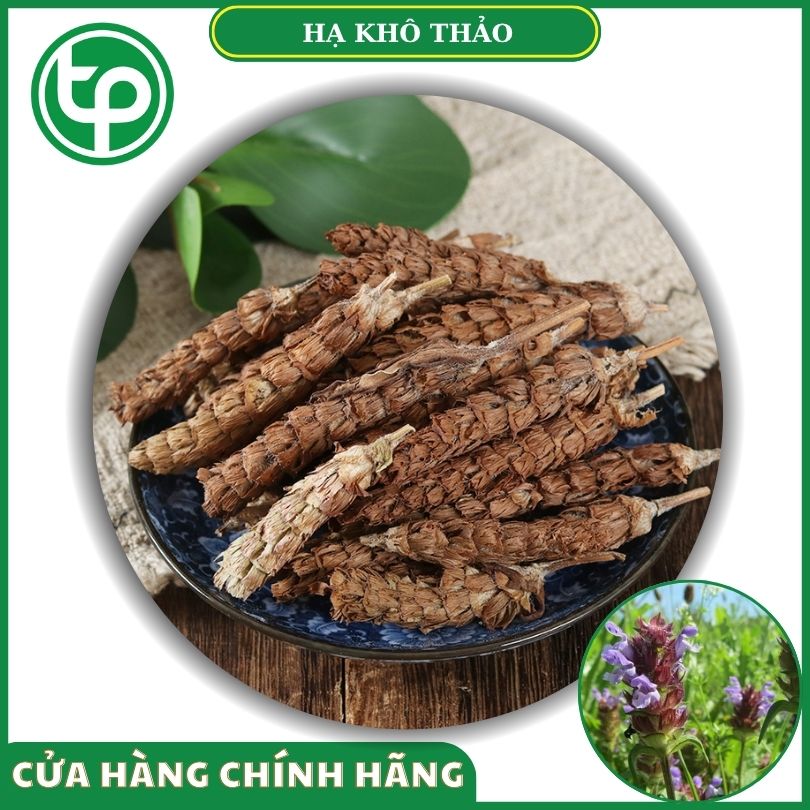 Hạ khô thảo khô tại Tấn Phát