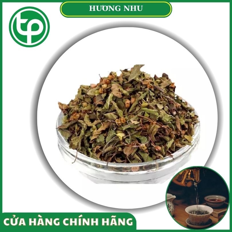 Hương nhu khô chất lượng của Tấn Phát