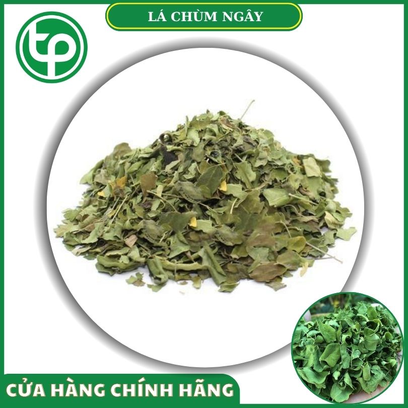 Lá chùm ngây khô tại Tấn Phát