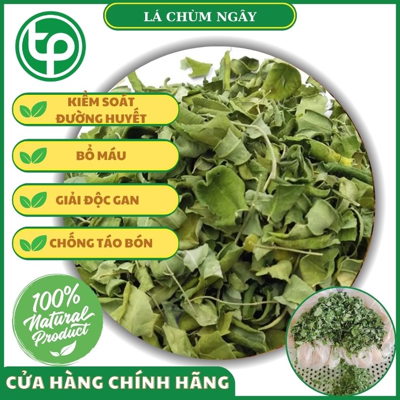 Lá chùm ngây mang đến nhiều tác dụng tốt