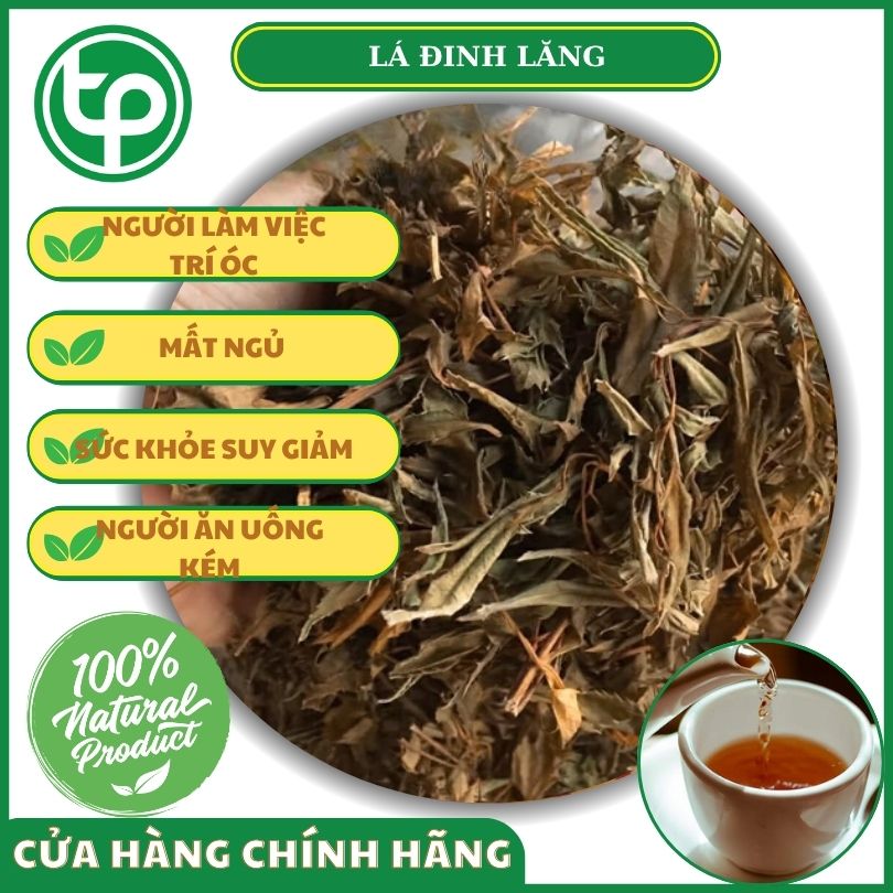 Công dụng của đinh lăng đối với sức khỏe