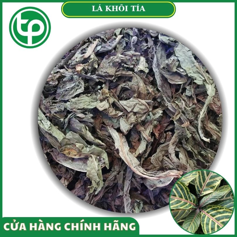 Lá khôi tía khô tại Tấn Phát