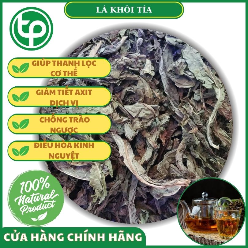 Công dụng của lá khôi tía đối với sức khỏe