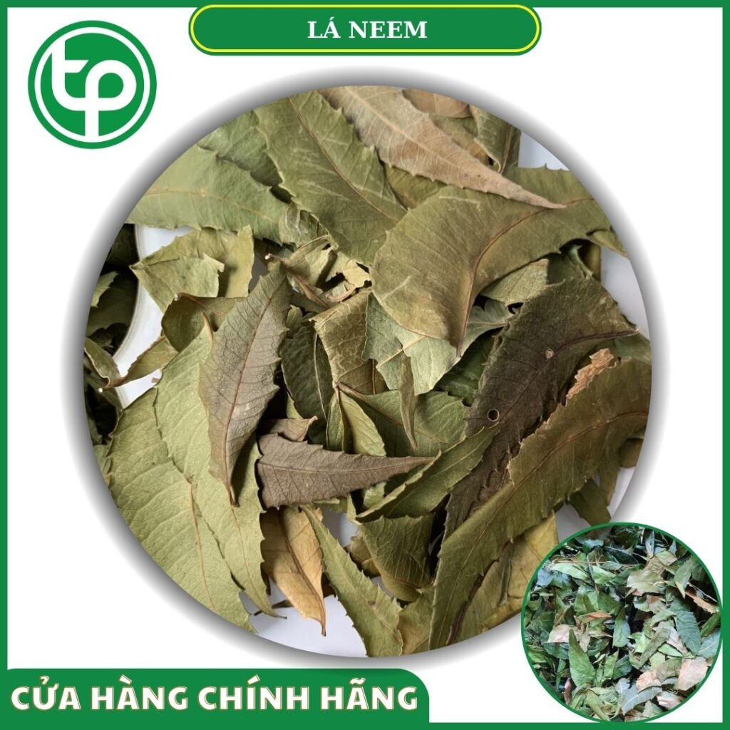 Lá neem khô tại Tấn Phát
