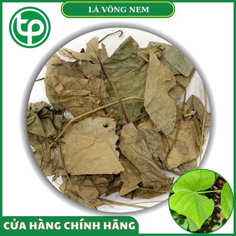 Lá vông nem khô tại Tấn Phát