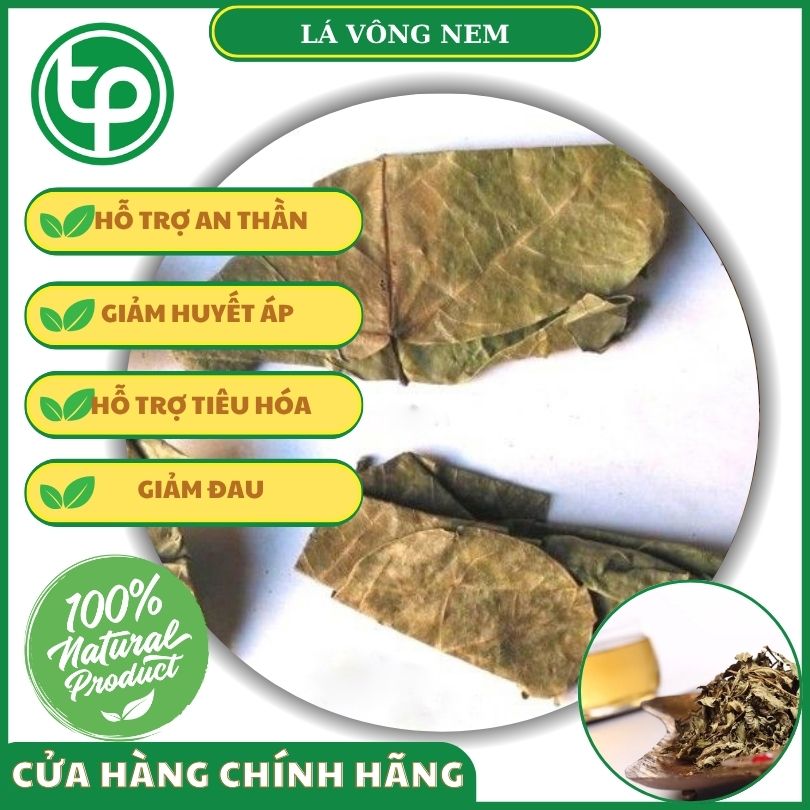 Lá vông nem khô mang đến nhiều công dụng