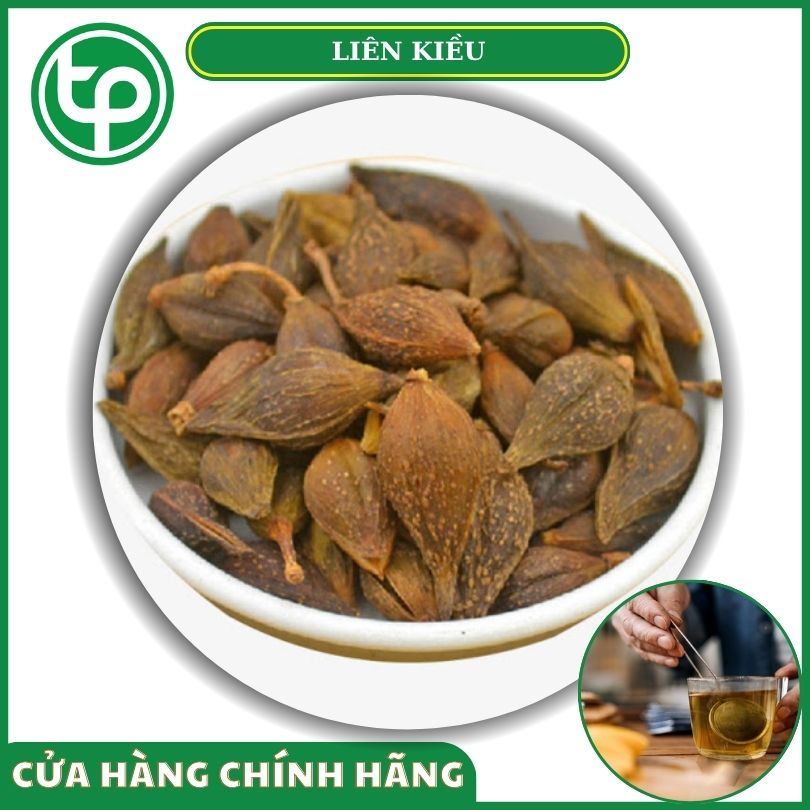 Liên kiều khô tại Tấn Phát