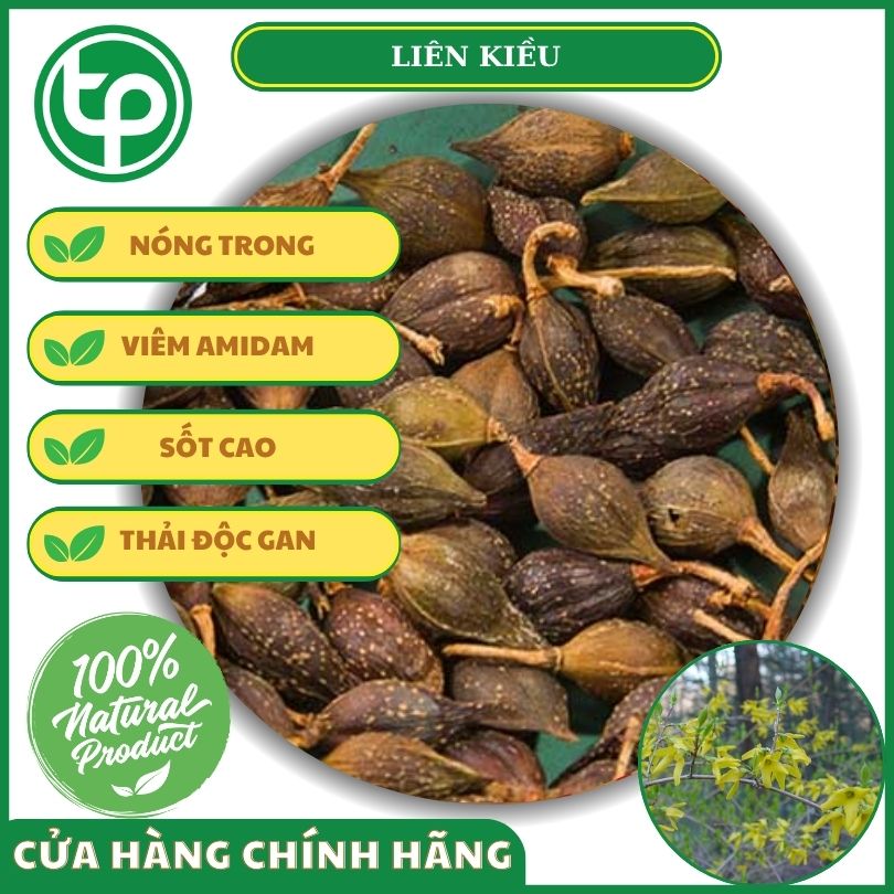 Công dụng của liên kiều đối với sức khỏe