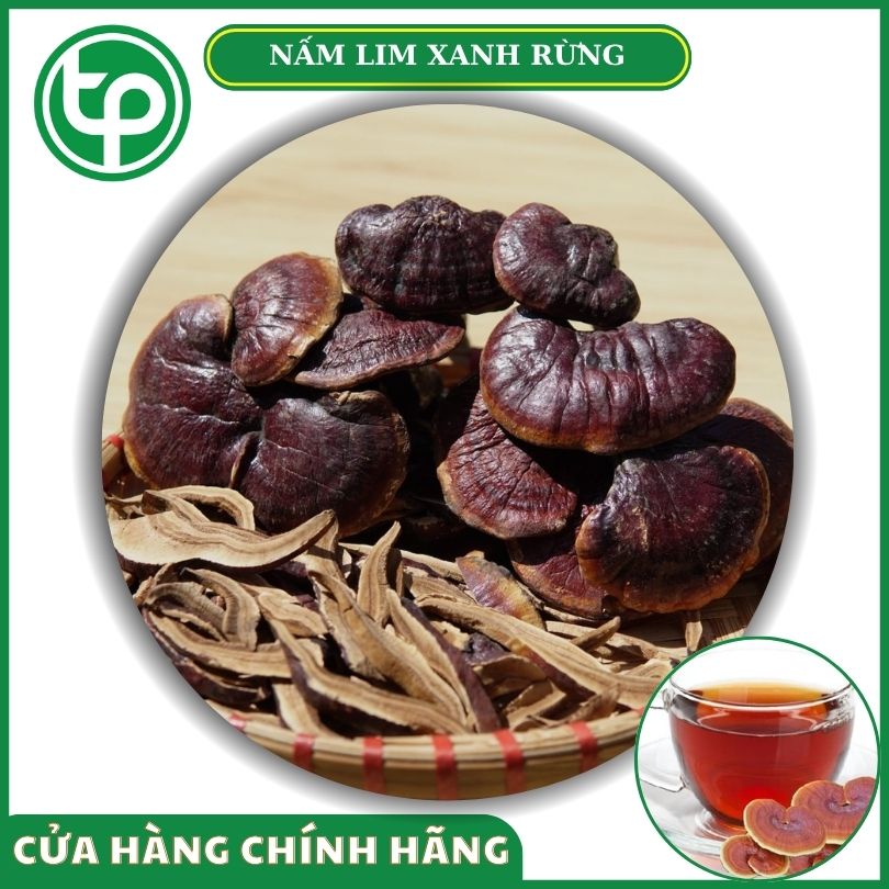 Nấm lim xanh rừng tại Tấn Phát