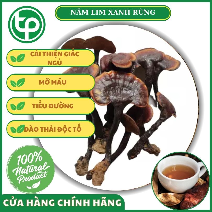Công dụng của nấm lim xanh đối với sức khỏe
