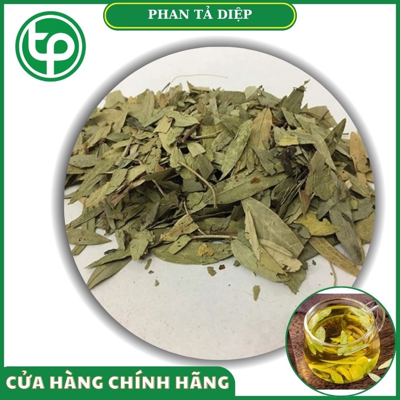 Phan tả diệp khô tại Tấn Phát