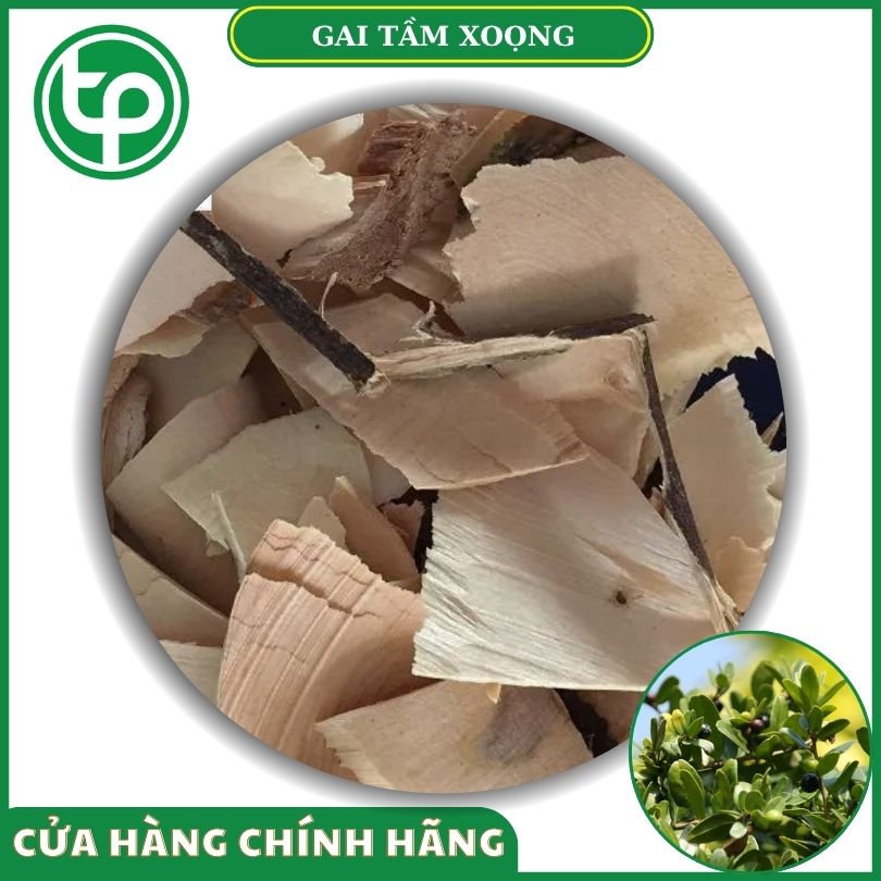 Gai tầm xoọng khô tại Tấn Phát