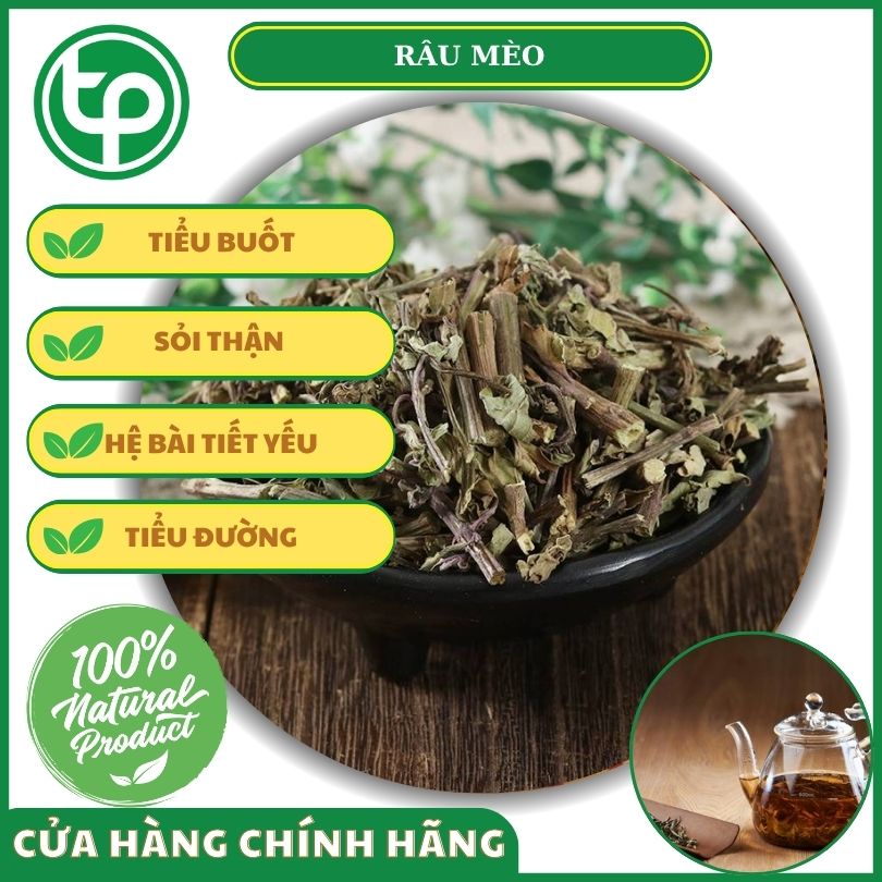 Công dụng của râu mèo đối với sức khỏe