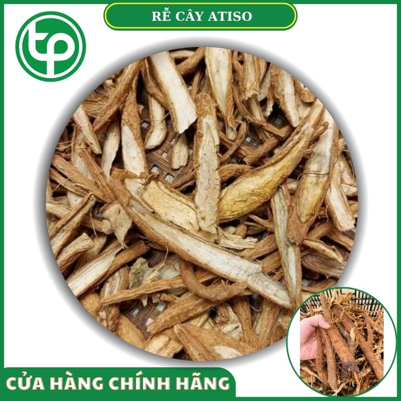 Rễ cây atiso tại Tấn Phát