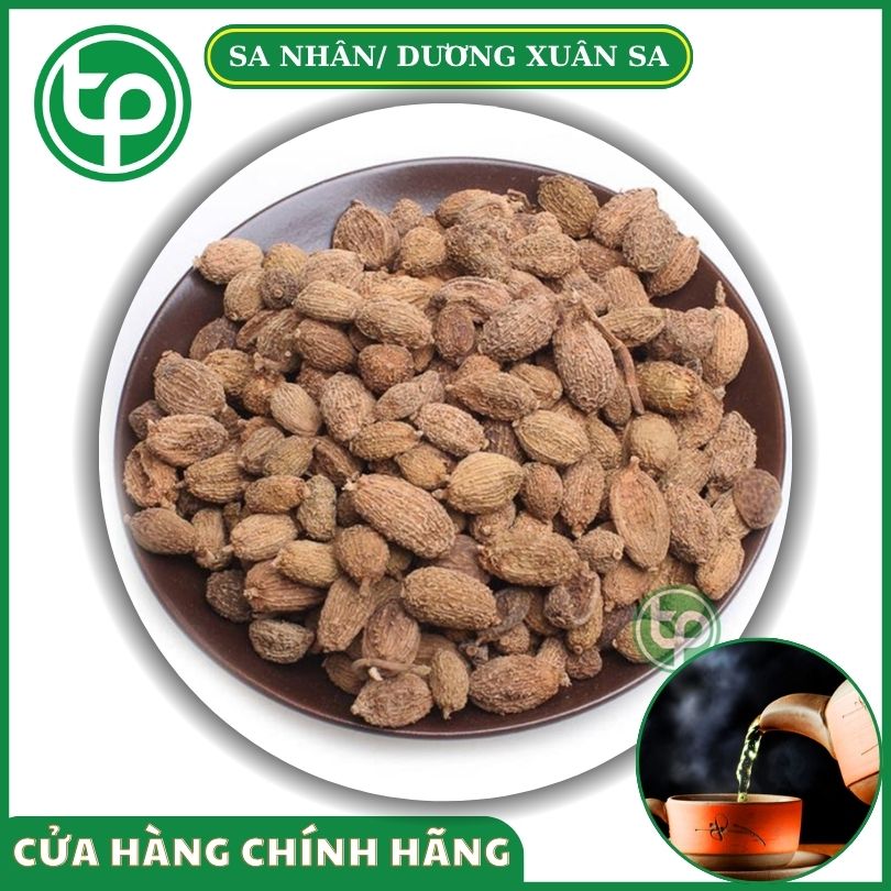 Sa nhân/ dương xuân sa tại Tấn Phát