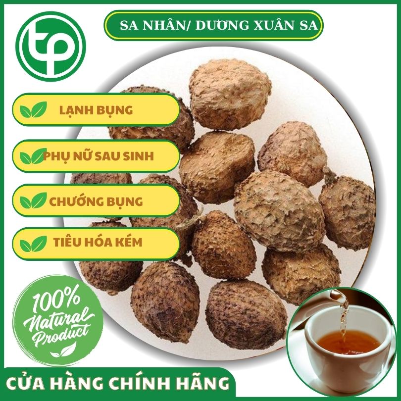 Công dụng của sa nhân đối với sức khỏe