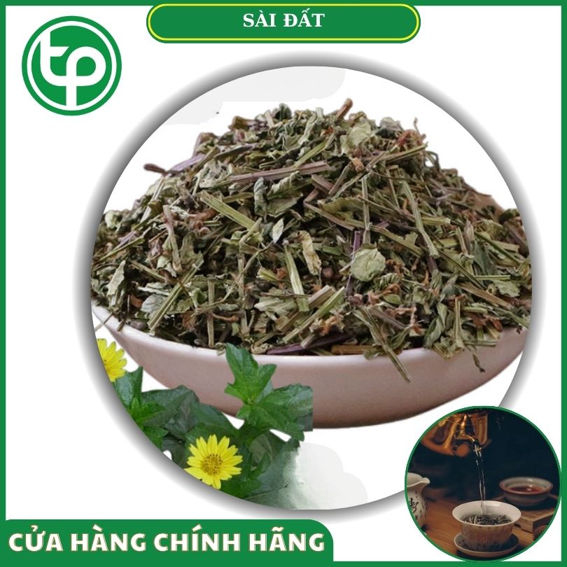 Sài đất khô tại Tấn Phát