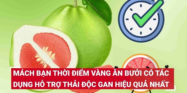 Bưởi giúp giải nhiệt, có tốt cho gan không?