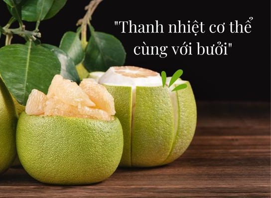 Bưởi giàu dinh dưỡng, vitamin C, chất xơ tốt cho gan