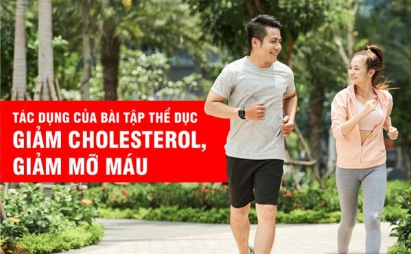 Yoga giúp giảm stress và cải thiện tuần hoàn máu