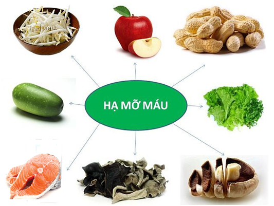 Thảo dược hỗ trợ kiểm soát mỡ máu từ Tấn Phát