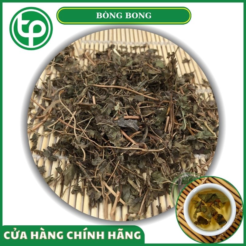 Cây bòng bong khô tại Tấn Phát