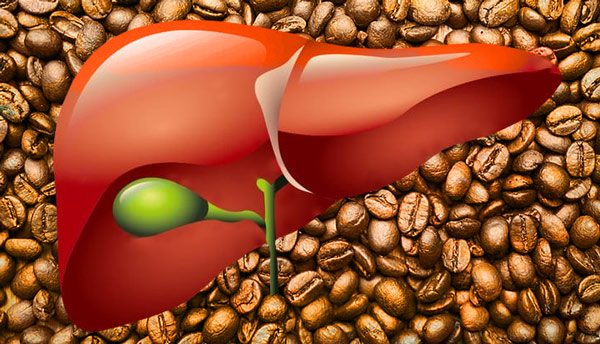 Thảo dược hỗ trợ gan