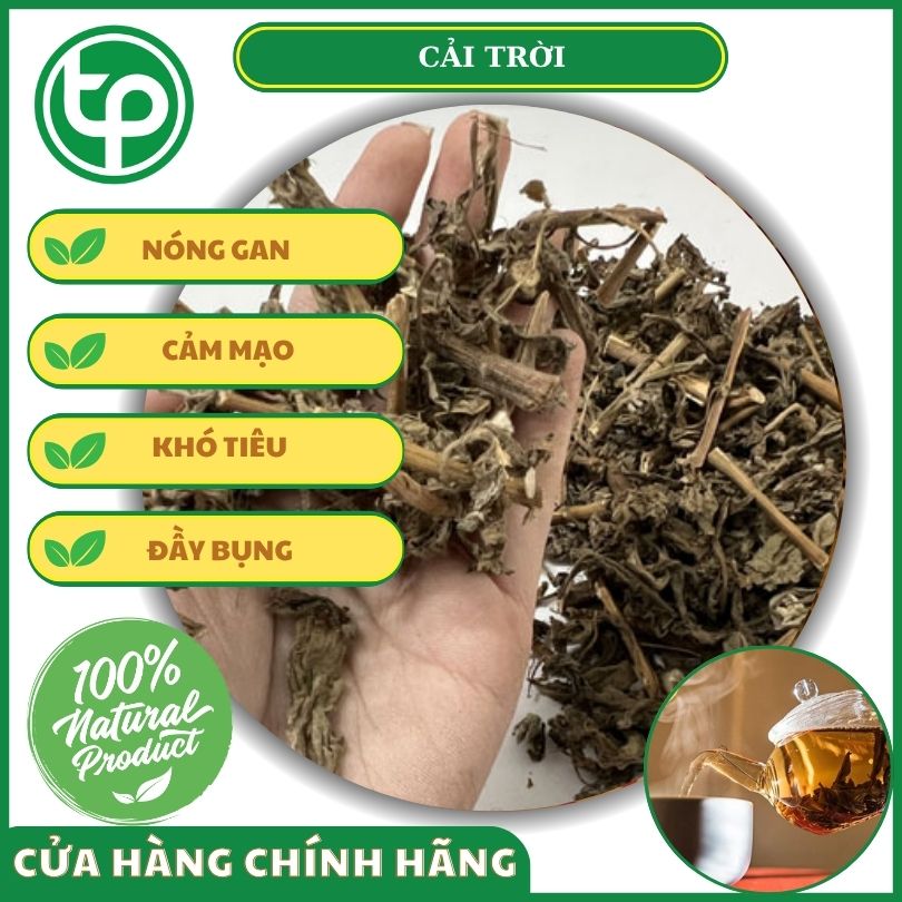 Công dụng của cải trời đối với sức khỏe