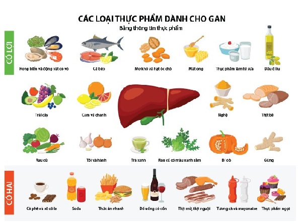 Chế độ ăn giúp phòng tránh viêm gan