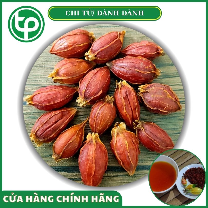 Quả chi tử/ dành dành tại Tấn Phát