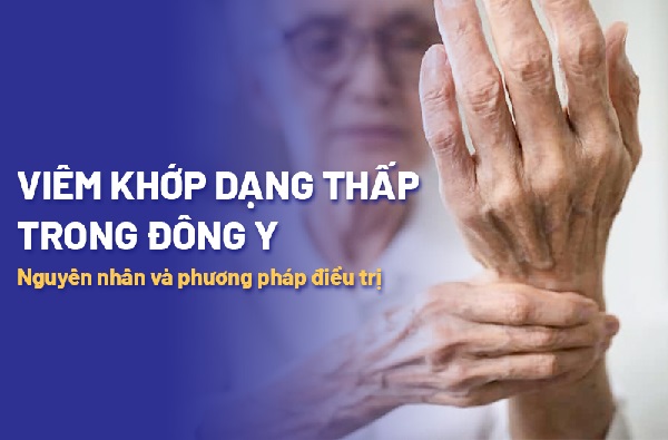 Bài thuốc Đông Y hỗ trợ điều trị viêm khớp dạng thấp - Thaphaco