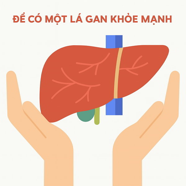 Minh họa tình trạng nóng gan và mối quan tâm về thải độc gan