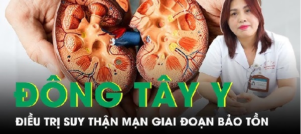 Dược liệu tự nhiên trong hỗ trợ điều trị sỏi thận