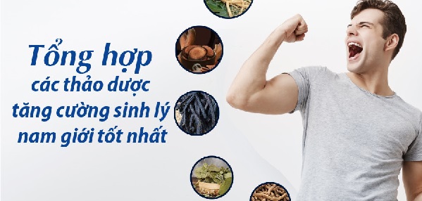 Thảo dược Đông Y hỗ trợ sinh lý nam