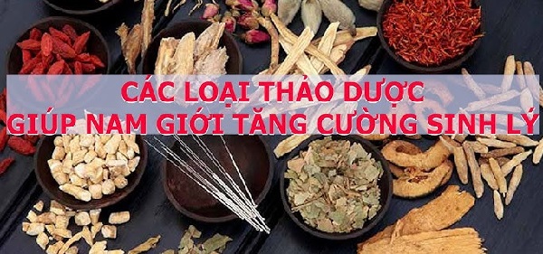 Thành phần dược liệu tăng sinh lý cho nam giới
