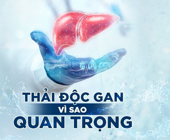 Thảo dược thiên nhiên giúp mát gan, thải độc gan hiệu quả