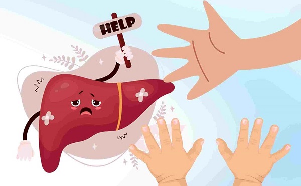Tích tụ độc tố gây buồn nôn, chướng bụng và các biểu hiện nghiêm trọng khác của gan suy yếu