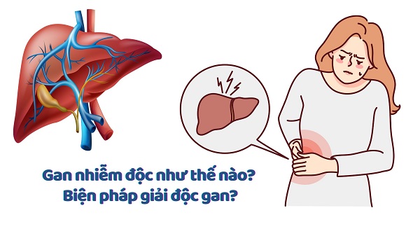 Các nguyên nhân dẫn đến nóng gan và hệ quả trên da