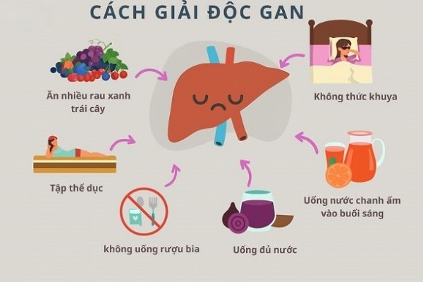 Thảo dược - lựa chọn hỗ trợ giải độc gan