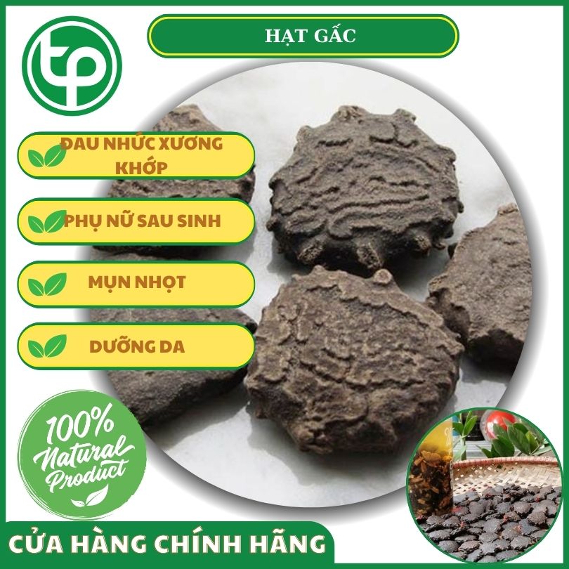 Công dụng của hạt gấc đối với sức khỏe