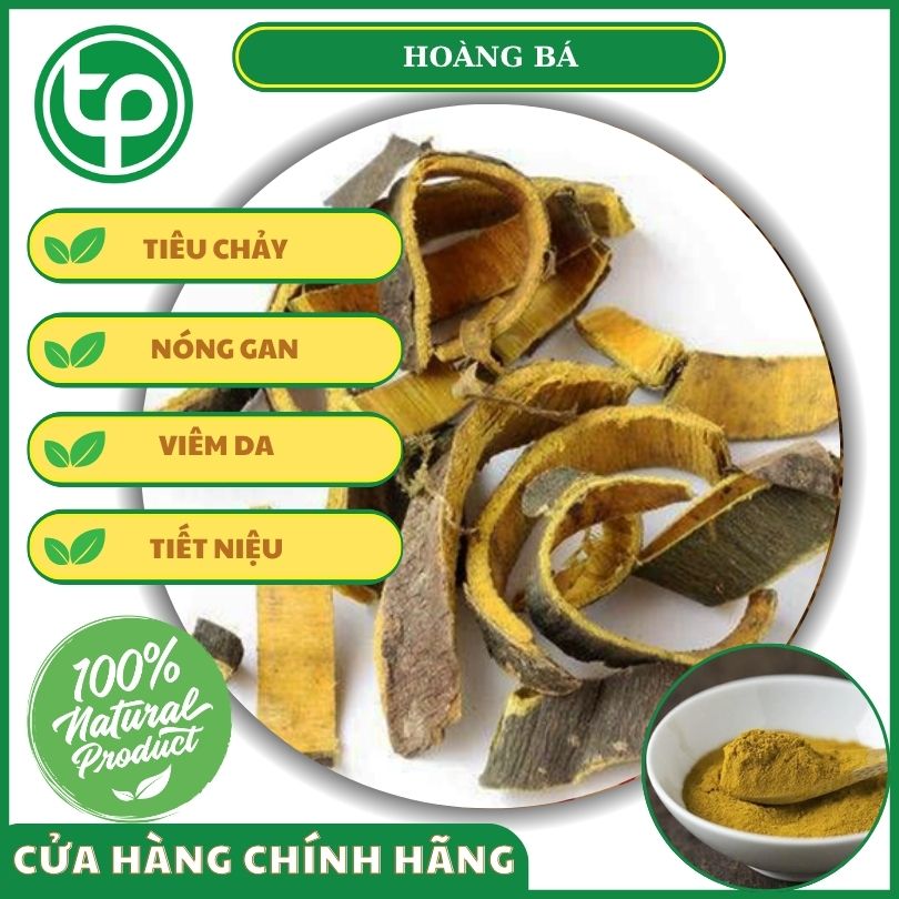 Công dụng của hoàng bá khô đối với sức khỏe