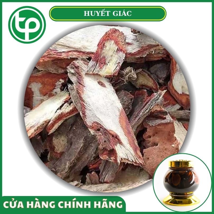 Huyết giác khô tại Tấn Phát