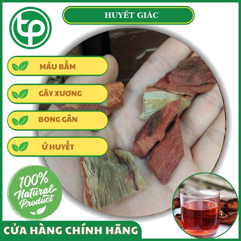 Công dụng của huyết giác đối với sức khỏe