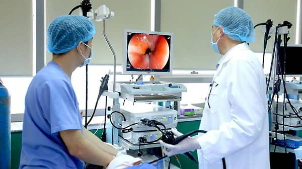 Lợi ích và giới hạn của thảo dược với tiêu hóa